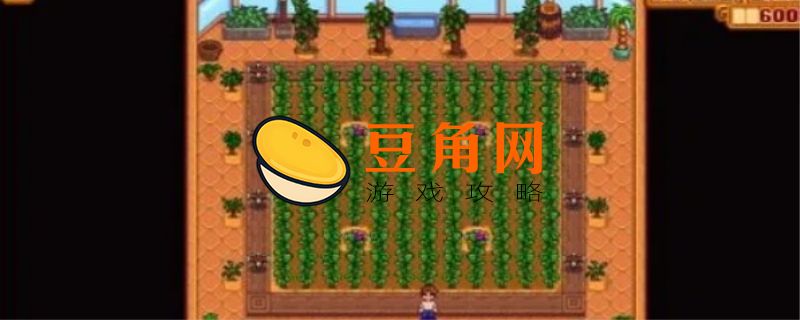 星露谷物语温室种什么收益最高(图1)
