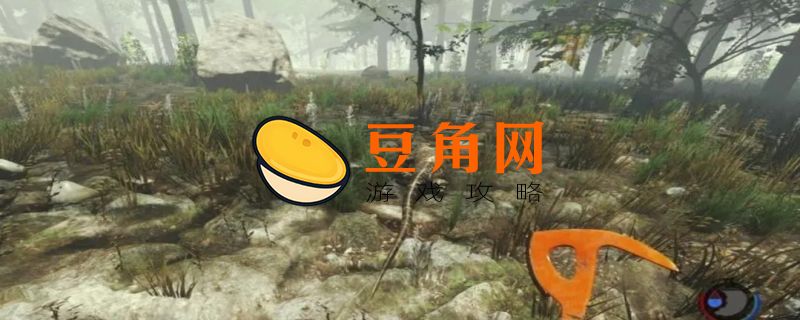 迷失在森林攻略(图1)