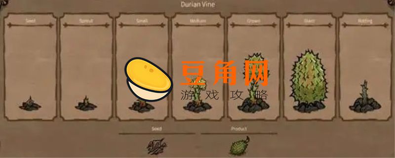 饥荒蕨类植物是干什么的(图1)