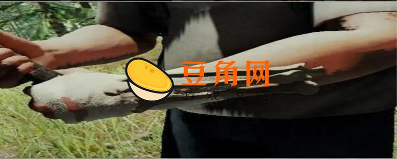 森林骨头怎么获得(图1)