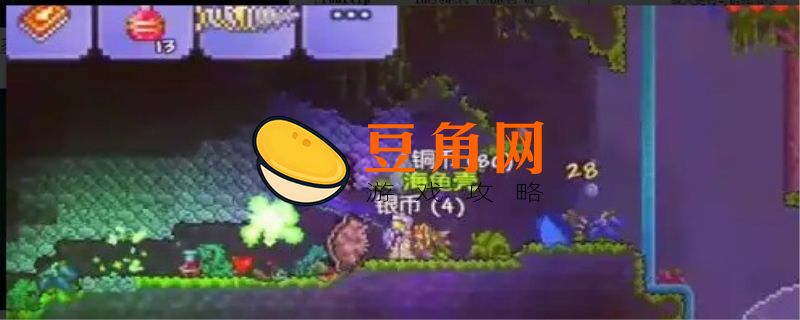 泰拉瑞亚甲虫套和乌龟套哪个好(图1)