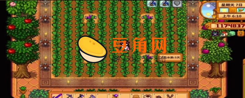 星露谷物语上古种子获得方法(图1)