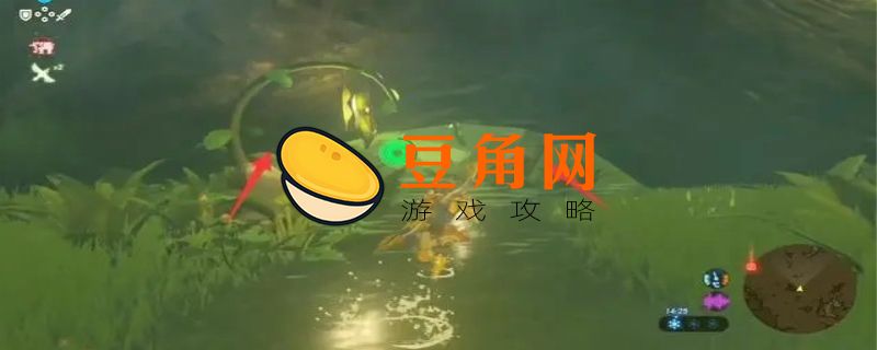 迷失的森林要怎么走(图1)