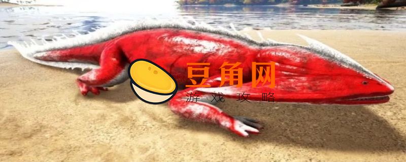 方舟盗首螈有什么用(图1)