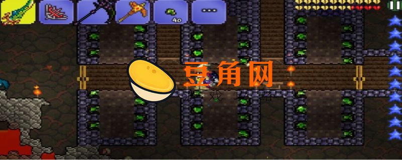 泰拉瑞亚神圣化的危害(图1)