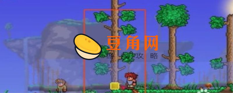 泰拉瑞亚个人数字助手怎么得(图1)