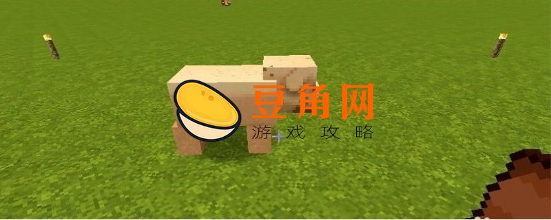我的世界猪吃什么(图1)