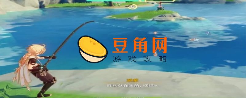 琉璃百合在哪里买(图1)