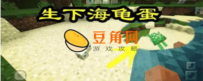 我的世界海龟蛋怎么孵化(图1)