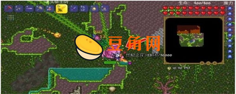 泰拉瑞亚盔甲抛光剂是什么(图1)