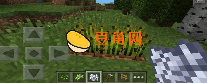 我的世界小麦有什么用(图1)