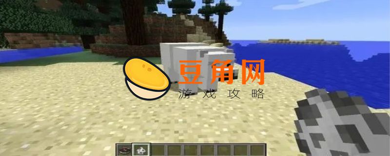 我的世界北极熊吃什么(图1)
