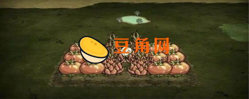 饥荒怎么建房子(图1)