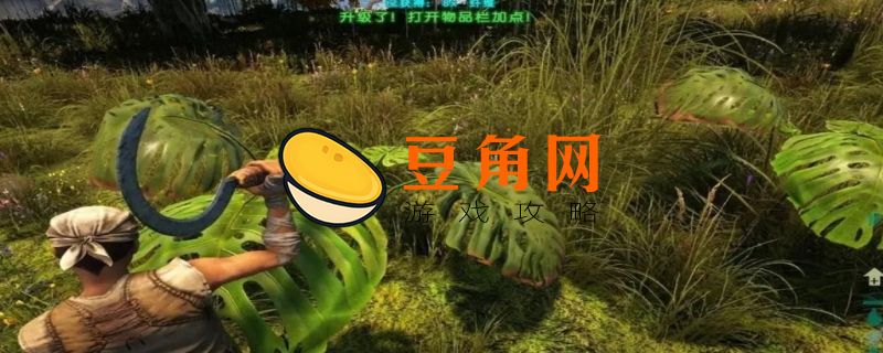 方舟纤维怎么获取(图1)
