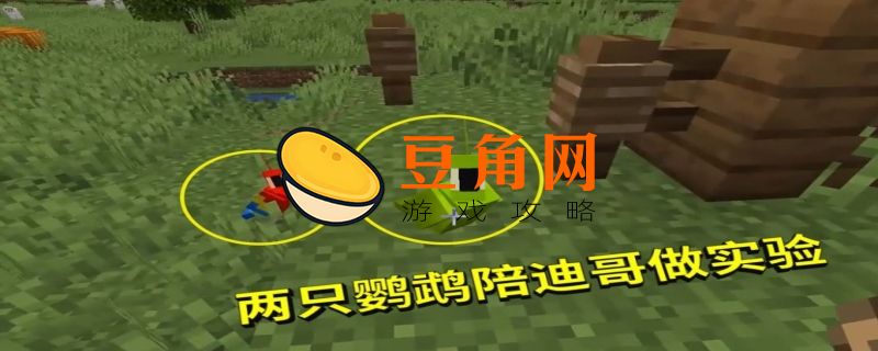 我的世界鹦鹉怎么繁殖(图1)