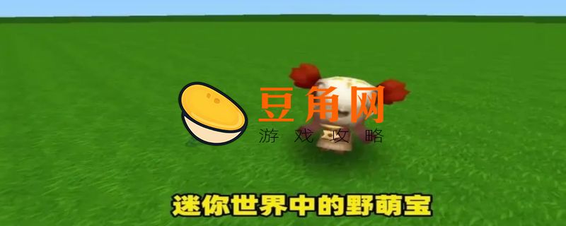 迷你世界怎么养野萌宝(图1)
