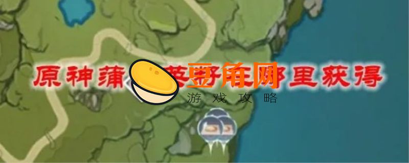 蒲公英籽怎么采集(图1)