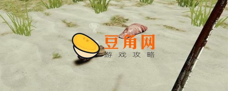 森林乌龟壳在哪里找(图1)