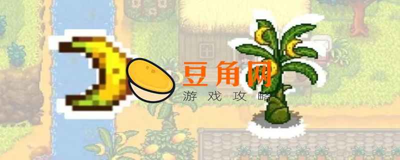 星露谷上古水果有什么用(图1)