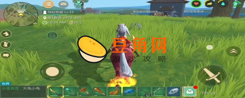 创造与魔法牛蛙食谱(图1)