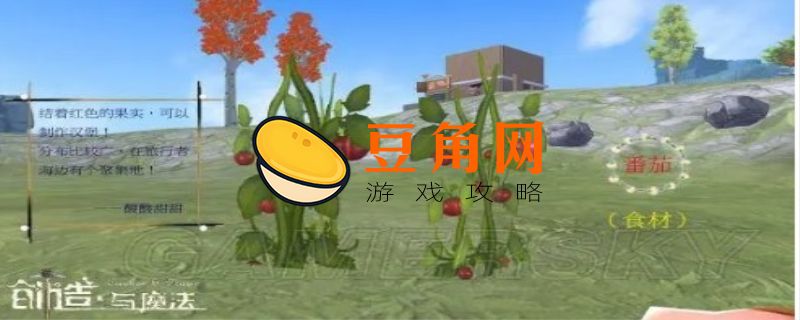 创造与魔法番茄酱怎么制作(图1)