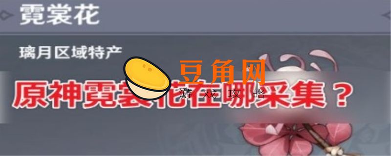 霓裳花在哪里采集(图1)