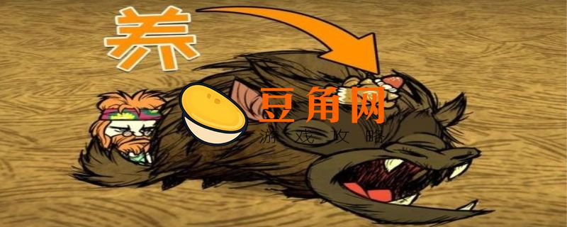 饥荒小座狼宠物要多少肉才大(图1)