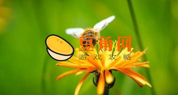男人梦见蜜蜂是什么预兆(图1)