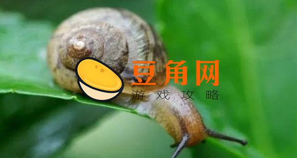 蜗牛养久了会认主人吗(图1)