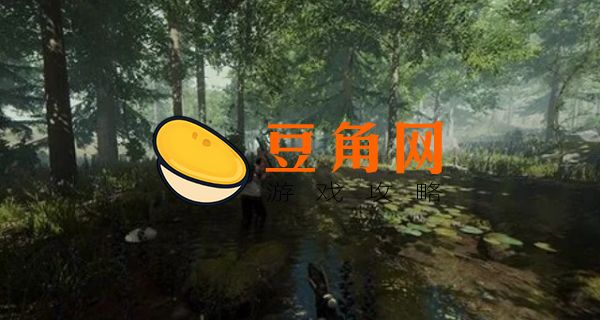 森林水源怎么取水(图1)