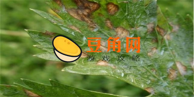 疫病是什么意思(图1)