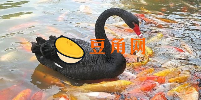 纯种黑天鹅多少人民币一只(图1)