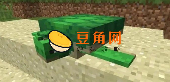 我的世界海龟怎么繁殖(图1)