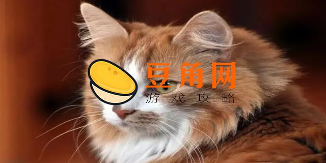 喵咪app官方最新版本是多少(图1)