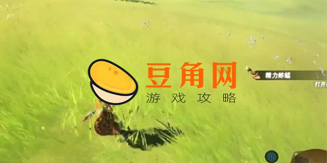 精力蚂蚱怎么烹饪(图1)