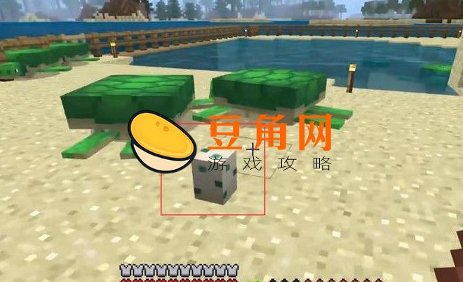 我的世界海龟吃什么(图1)