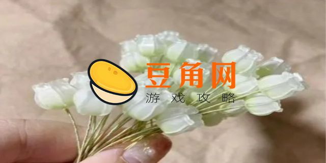 大朵墓地铃兰一共几个(图1)