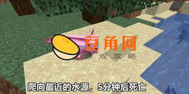 我的世界美西螈怎么繁殖(图1)