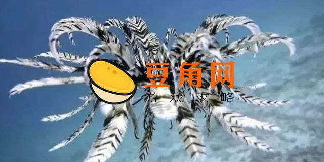 触手百合是哪个化石(图1)