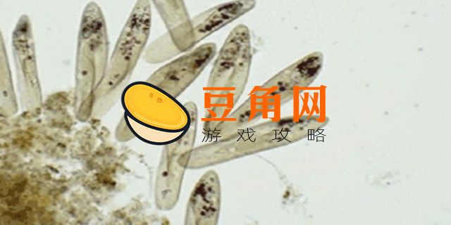 草履虫是什么梗(图1)