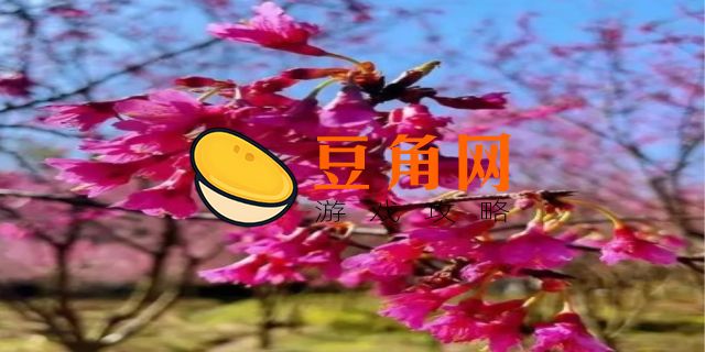 樱花树红色是什么妖怪哪里多(图1)