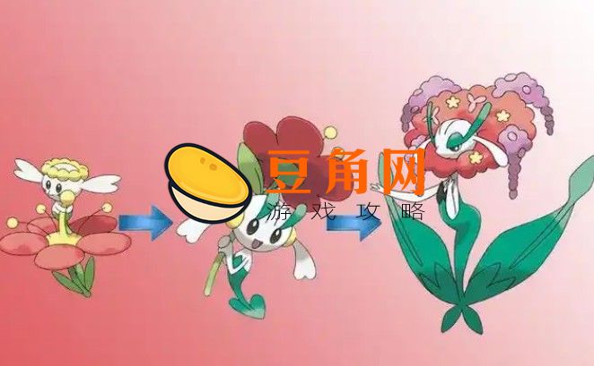 百合根娃娃如何进化(图1)
