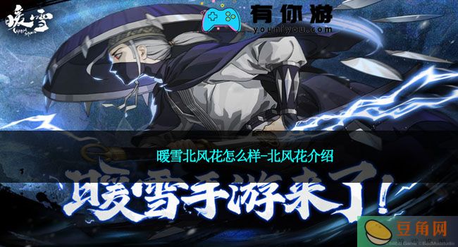 暖雪北风花怎么样-北风花介绍(图1)