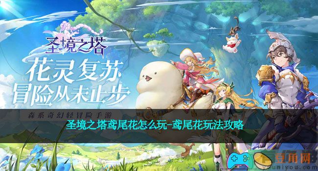 圣境之塔鸢尾花怎么玩-鸢尾花玩法攻略(图1)