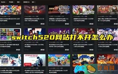 switch520网站打不开怎么进入方法(图1)