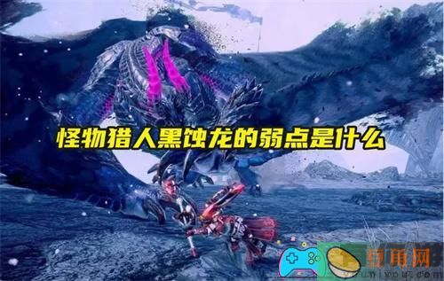 怪物猎人黑蚀龙弱点属性是什么(图1)