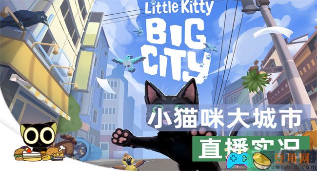 小猫咪大城市浣熊怎么解救详细攻略(图1)