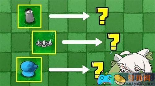 植物大战僵尸杂交版随机盲盒玩法详解(图1)